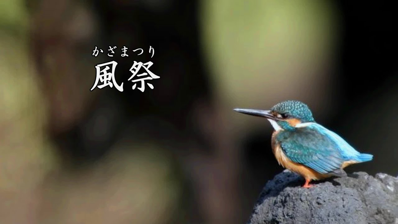 風祭     石川さゆり
