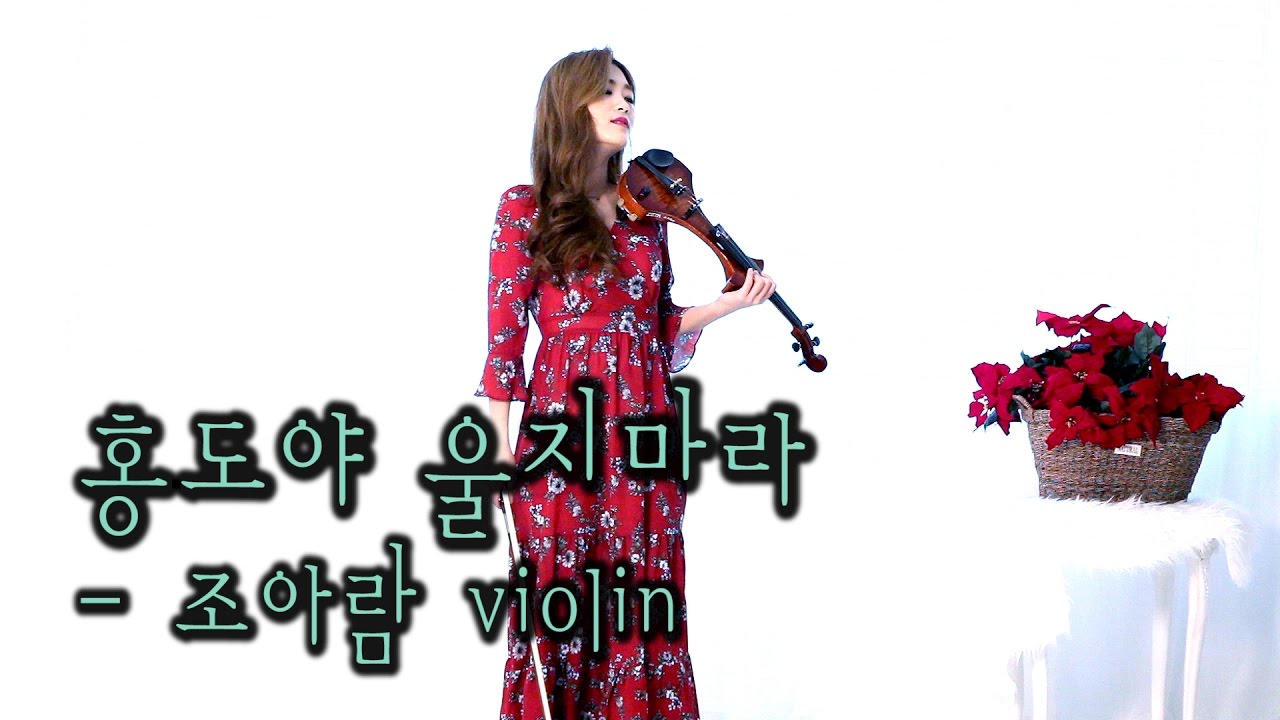 홍도야 울지마라 - 조아람 전자바이올린(Jo A Ram violin cover)