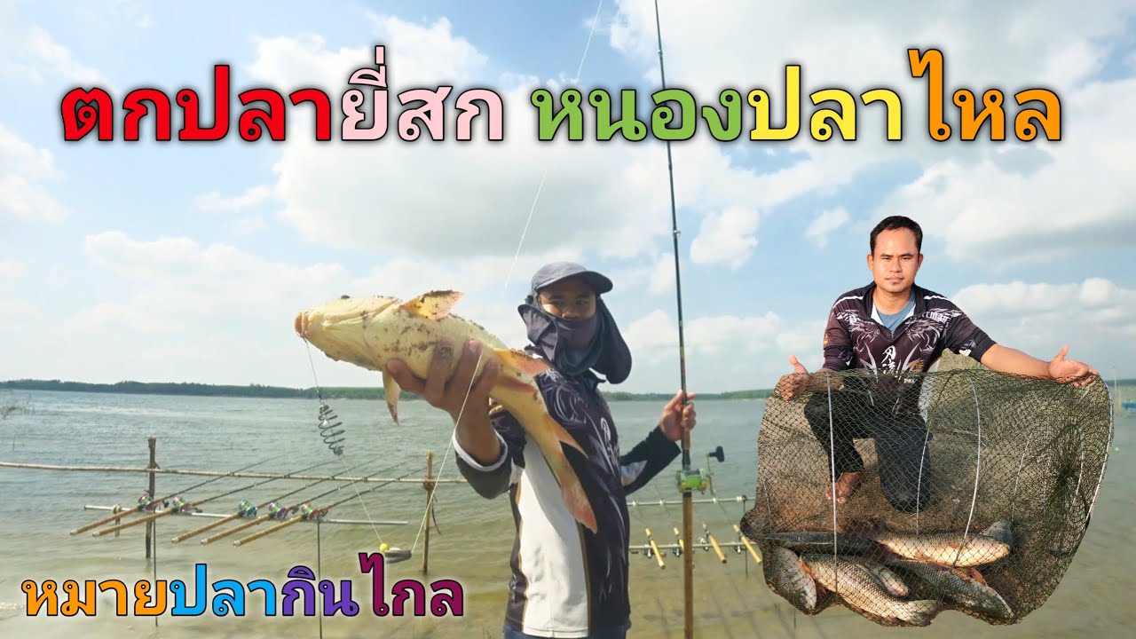 ตกปลายี่สกหมายสนามแข่งมอเตอร์ครอสอ่างเก็บน้ำหนองปลาไหล