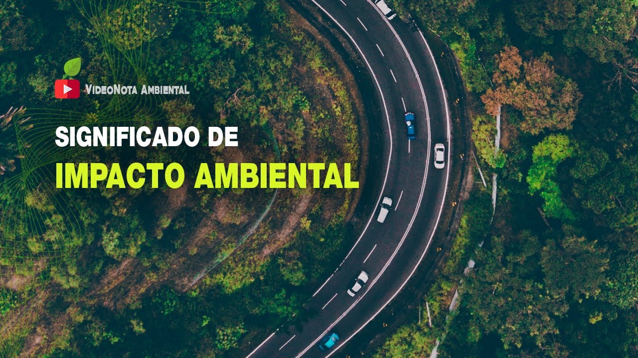 &iquest;Qu&eacute; es un Impacto Ambiental? 🌎