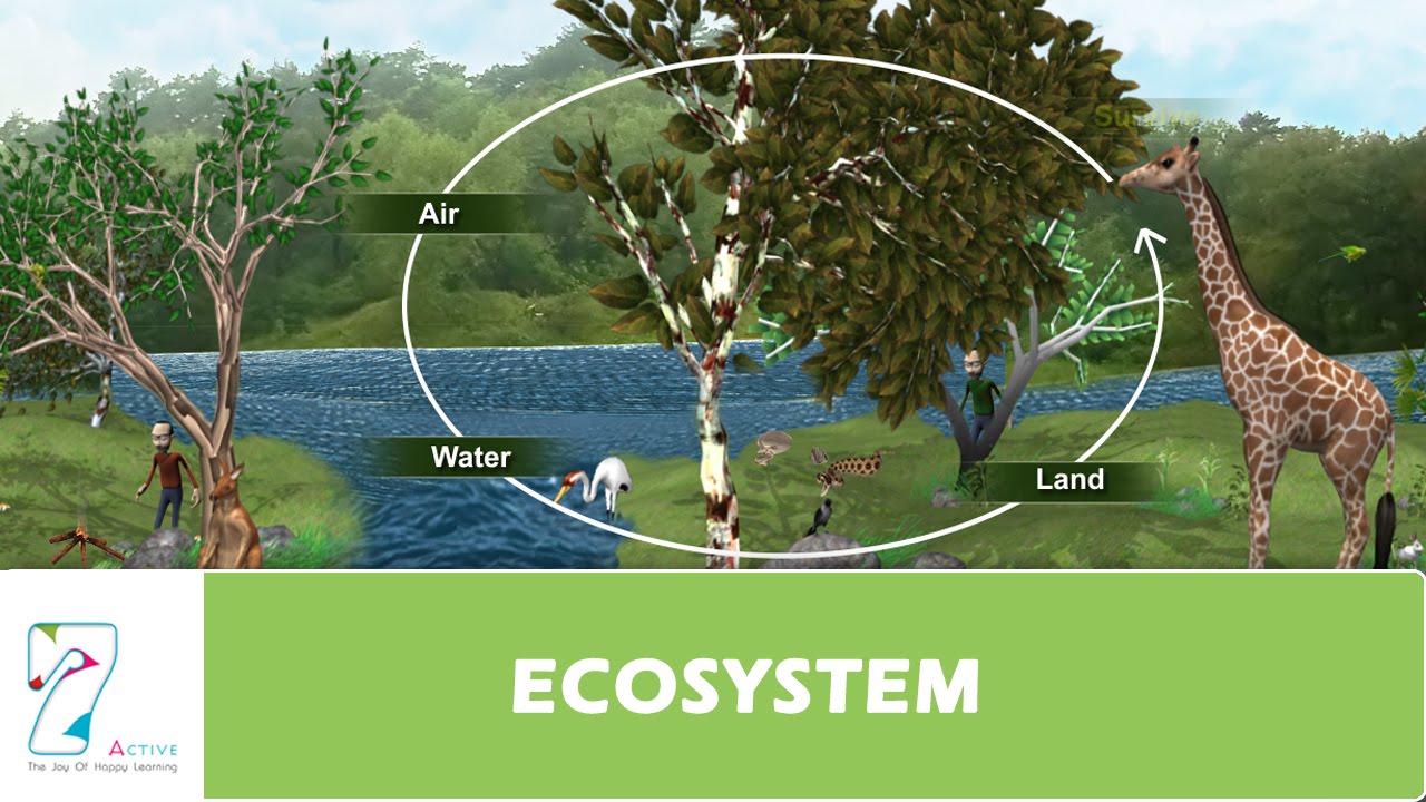 ECOSYSTEM
