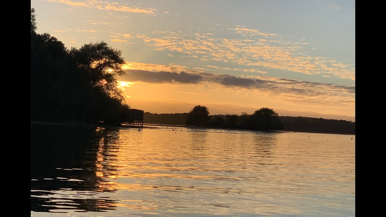 Hanningfield, Trout Fishing October 21