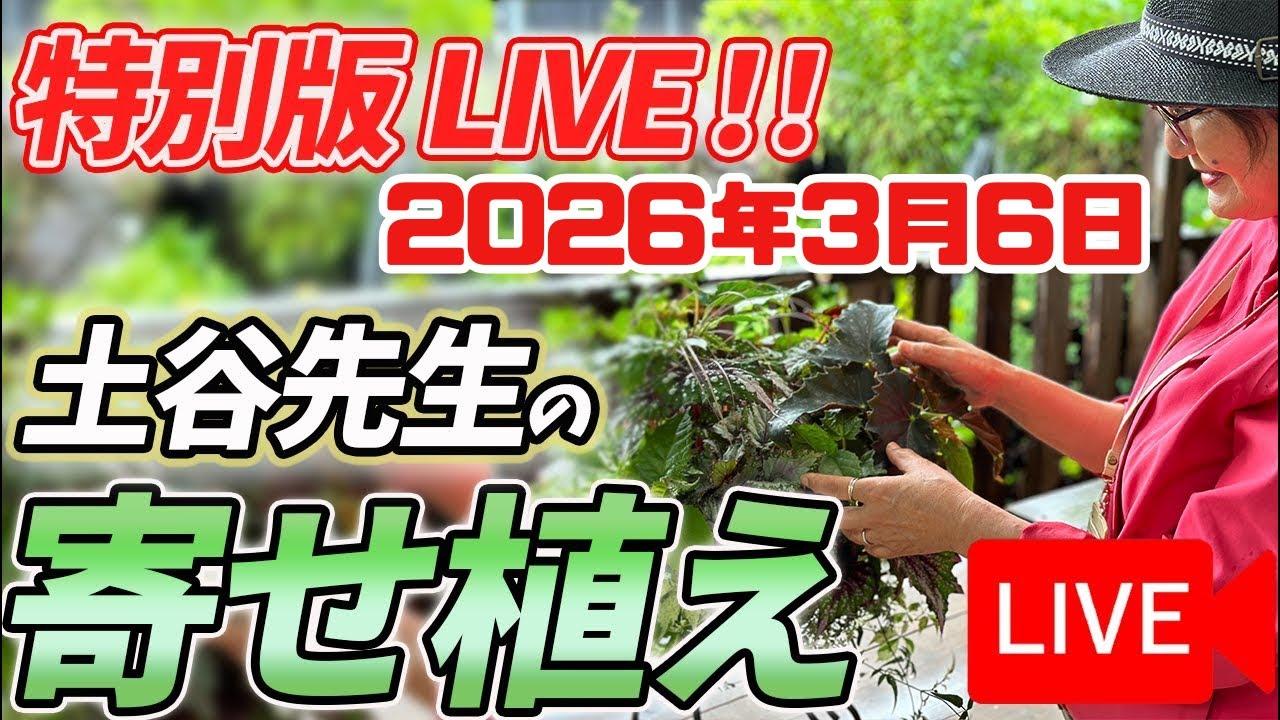 《生配信》2026年3月6日 土谷ますみ先生の寄せ植えをLIVEにてご紹介！八王子本店からお届けします！