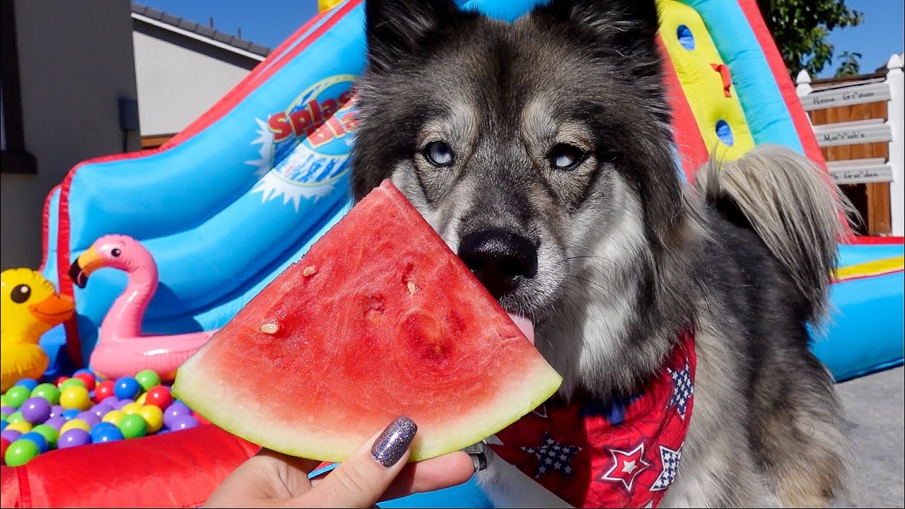 Backyard Waterpark, Hot Dog Challenge & First Watermelon of Summer! (4th of July)