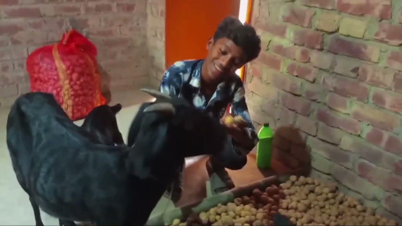 কাকা ভাতিজার কান্ড 🤣 🤣 এই রকম ভিডিও পেতে হলে। আমার চ্যানেলটা সাবস্ক্রাইব করে । আমাদের সাথে যুক্ত হন।