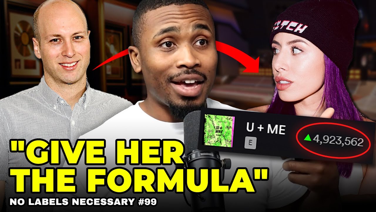 Artist Exposed Record Labels Secret Songwriting Formula ( And It WORKED! ) | NLN #99