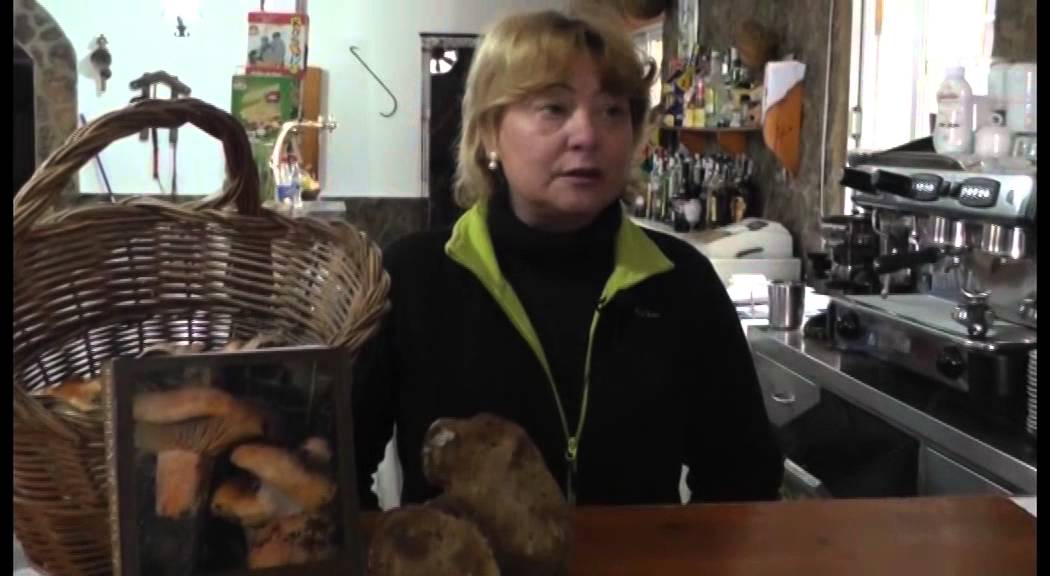 Un coto para el aficionado a la micología