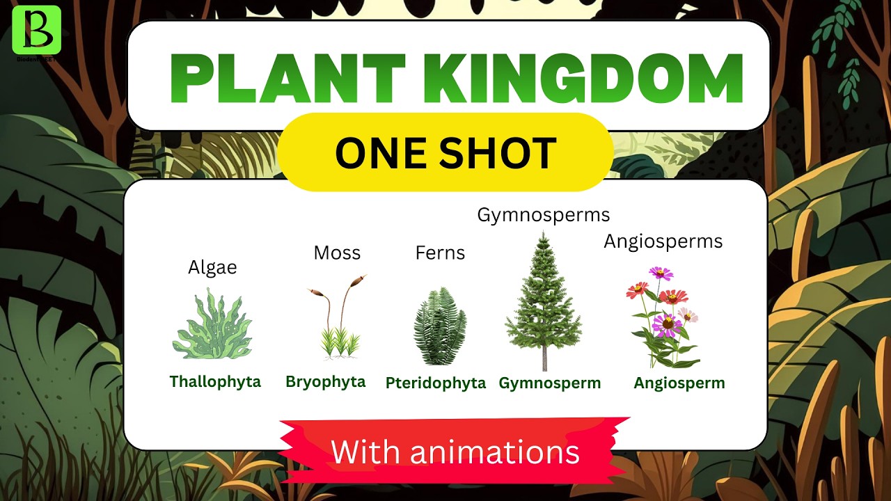 Plant kingdom Class 11 - One shot |  NEET Biology #plantae #plantkingdomclass11 #plantkingdom