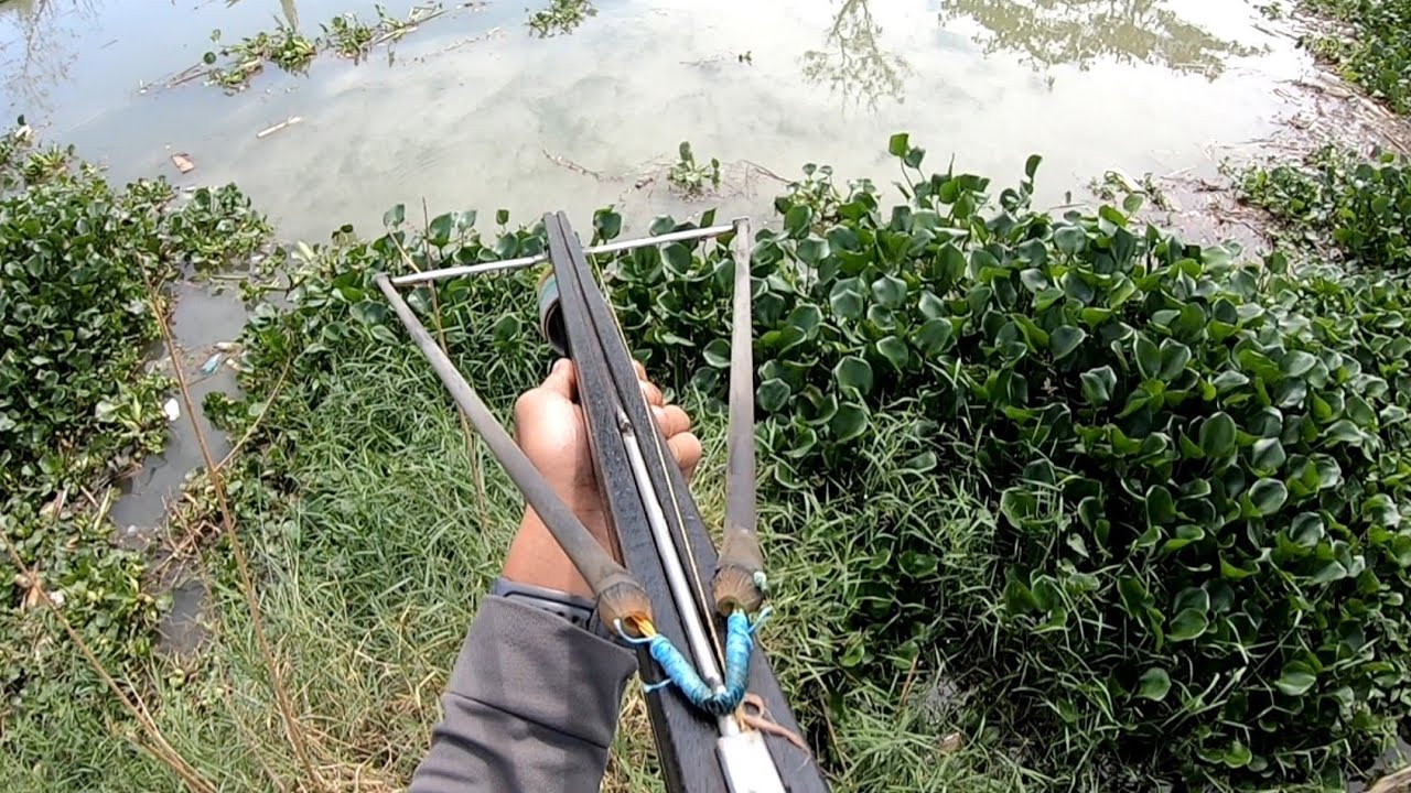 crossbow fishing | pana | #crossbow tiksay