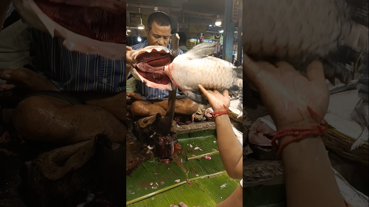 🔥😱 Amazing Big Size Katla Carp Fish Live Super Fast Cutting Skills #shorts