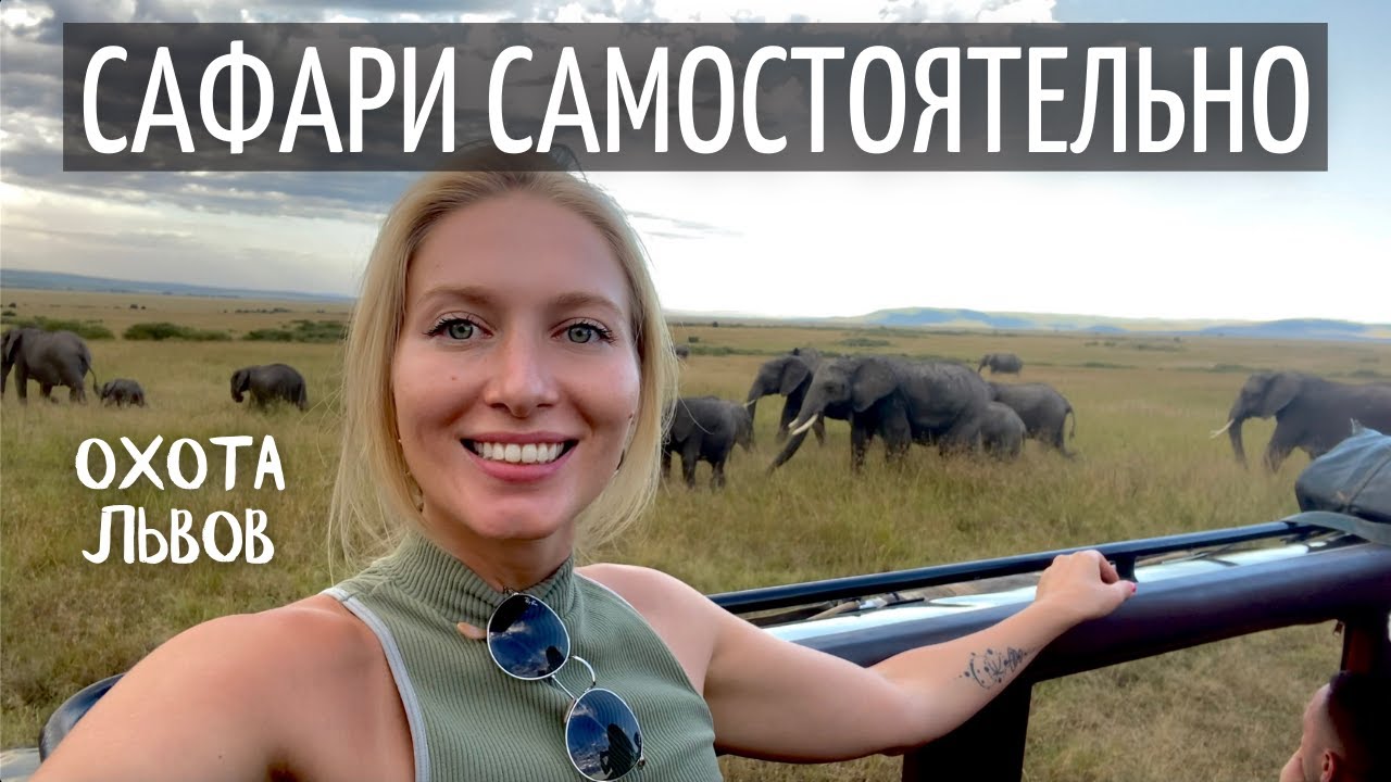 Сафари самостоятельно | Охота львов | Сафари в Кении 2021 | Африка 2021