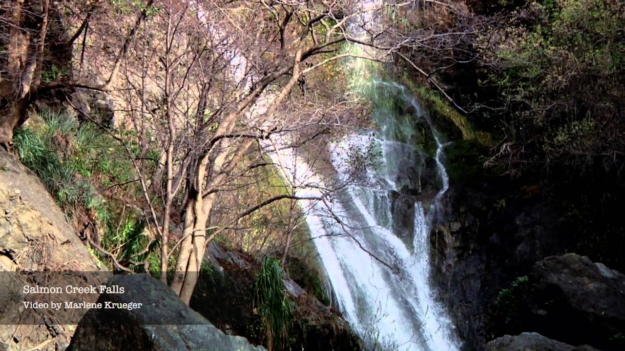 Central Coast, Monterey County, Salmon Creek Waterfall