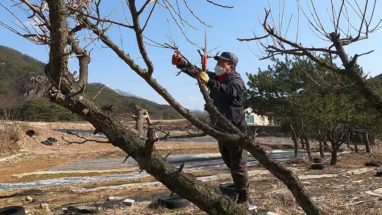 엉터리 농사꾼