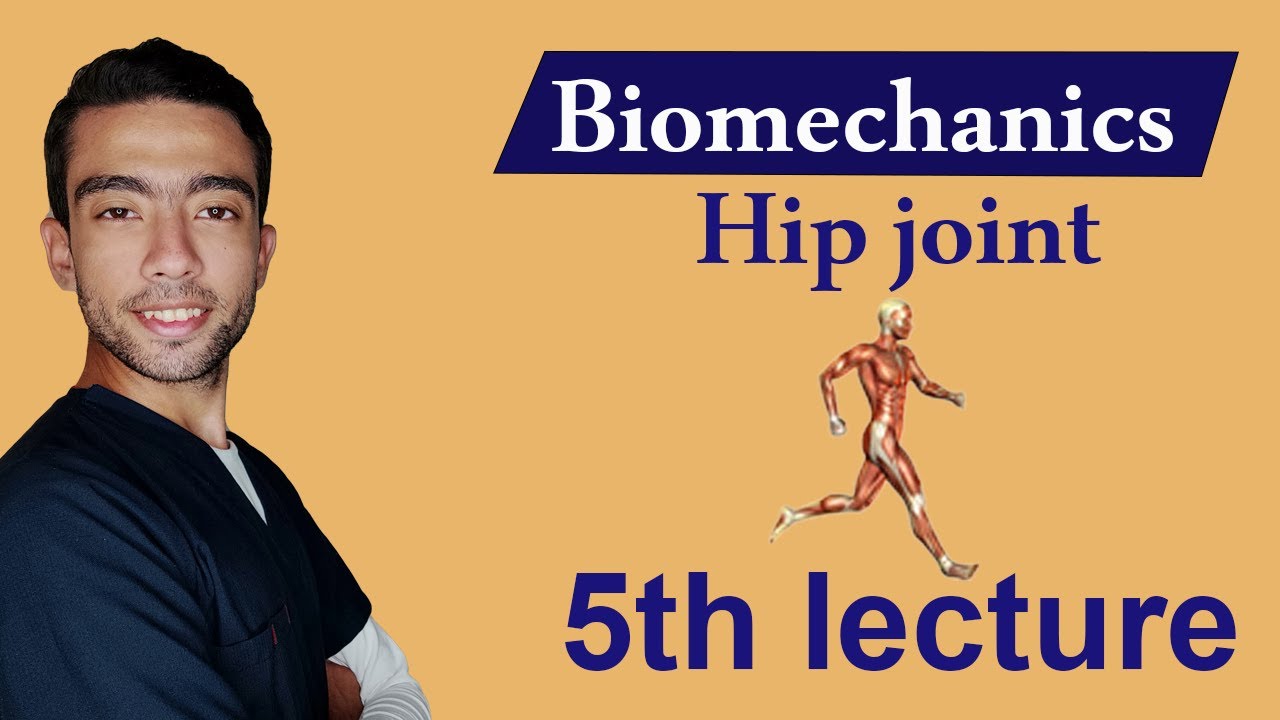 شرح Biomechanics of hip joint (part 3)