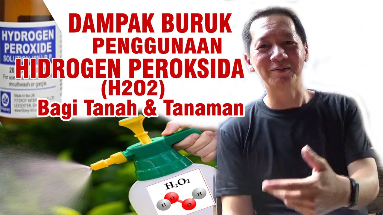 Apa ⁉️ Dampak Buruk Penggunaan H2O2 Bagi Tanaman  & Tanah Simak Penjelasannya