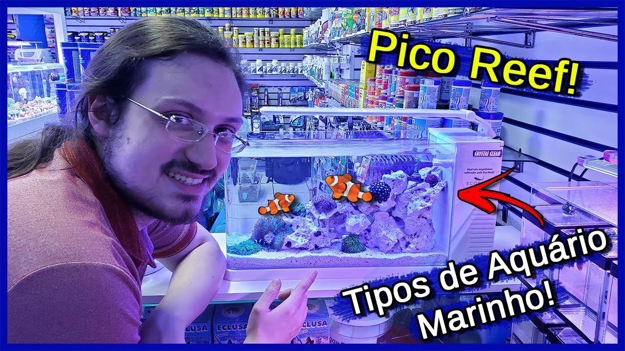 Tipos de Aquário Marinho para Iniciantes! - Aqualandia Aquários