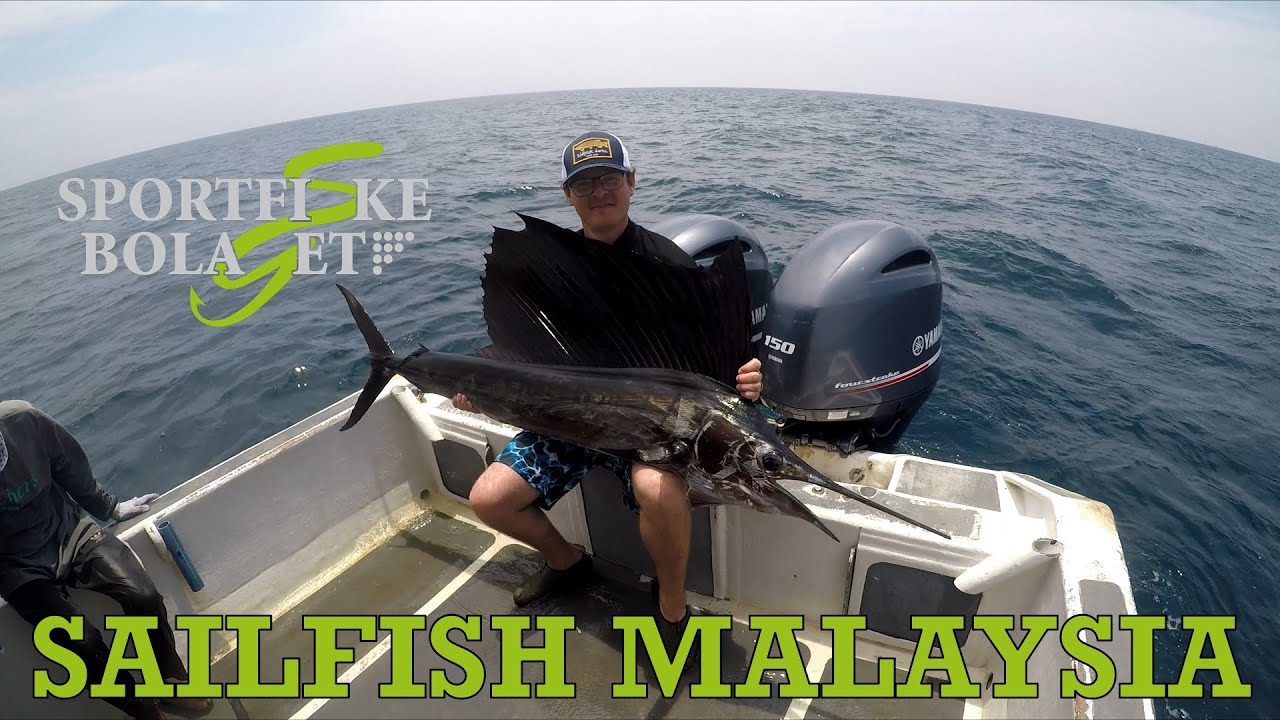 Sailfish Malaysia