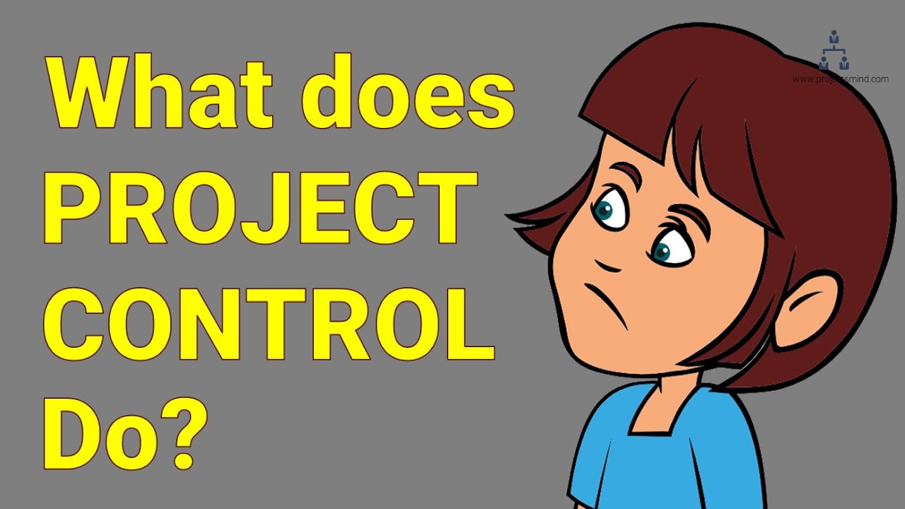 What does Project Controller do?