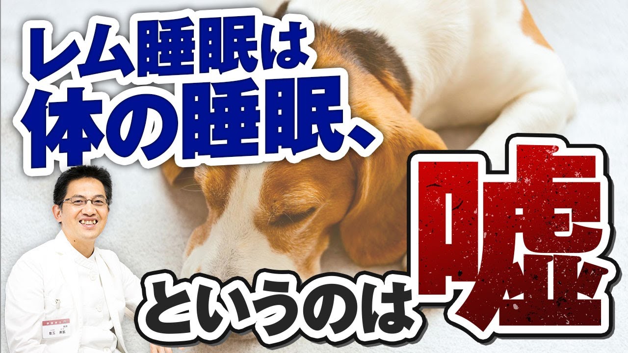 【精神科】レム睡眠は体の睡眠・ノンレム睡眠は脳の睡眠、と言うのは嘘 ライブQ&A６連発【睡眠】