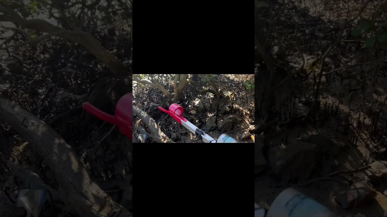 Why Pay $44/kg When You Can Catch Your Own?