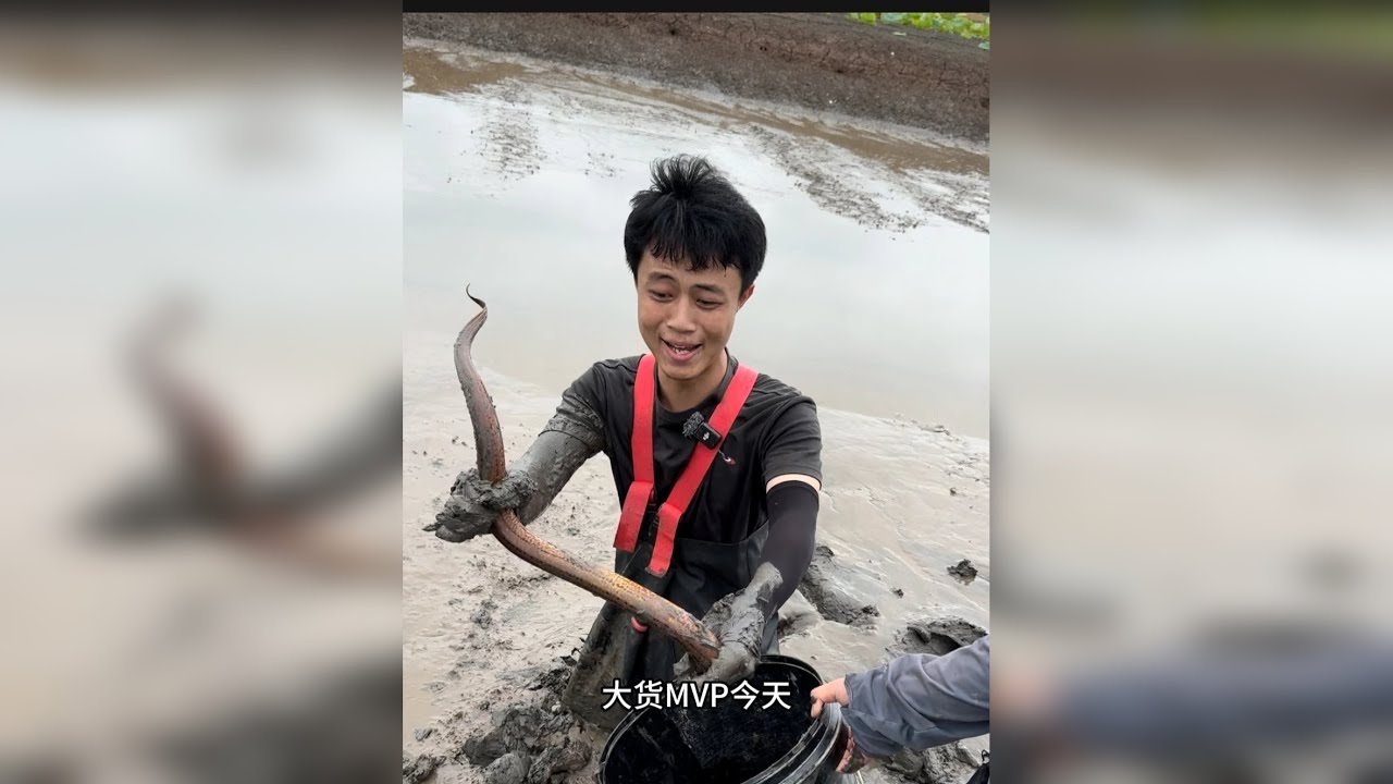 花300块在60亩的鱼塘挑战抓一个小时鳝鱼，究竟能赚多少？
