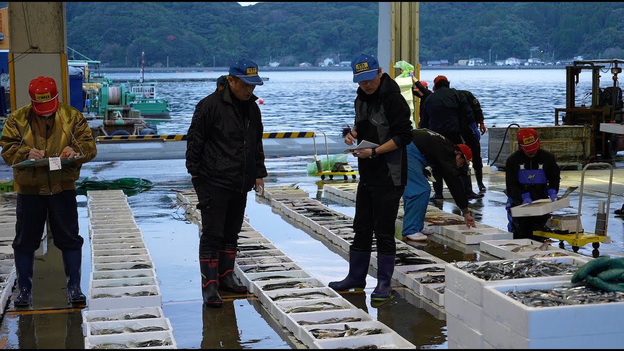 魚河岸の1日に密着！【(株)水元】