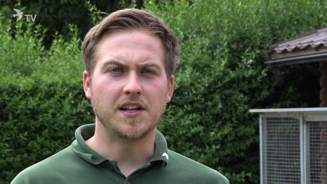 SG Roland und Denis Faber – Röhnfried Racing Team – 2017