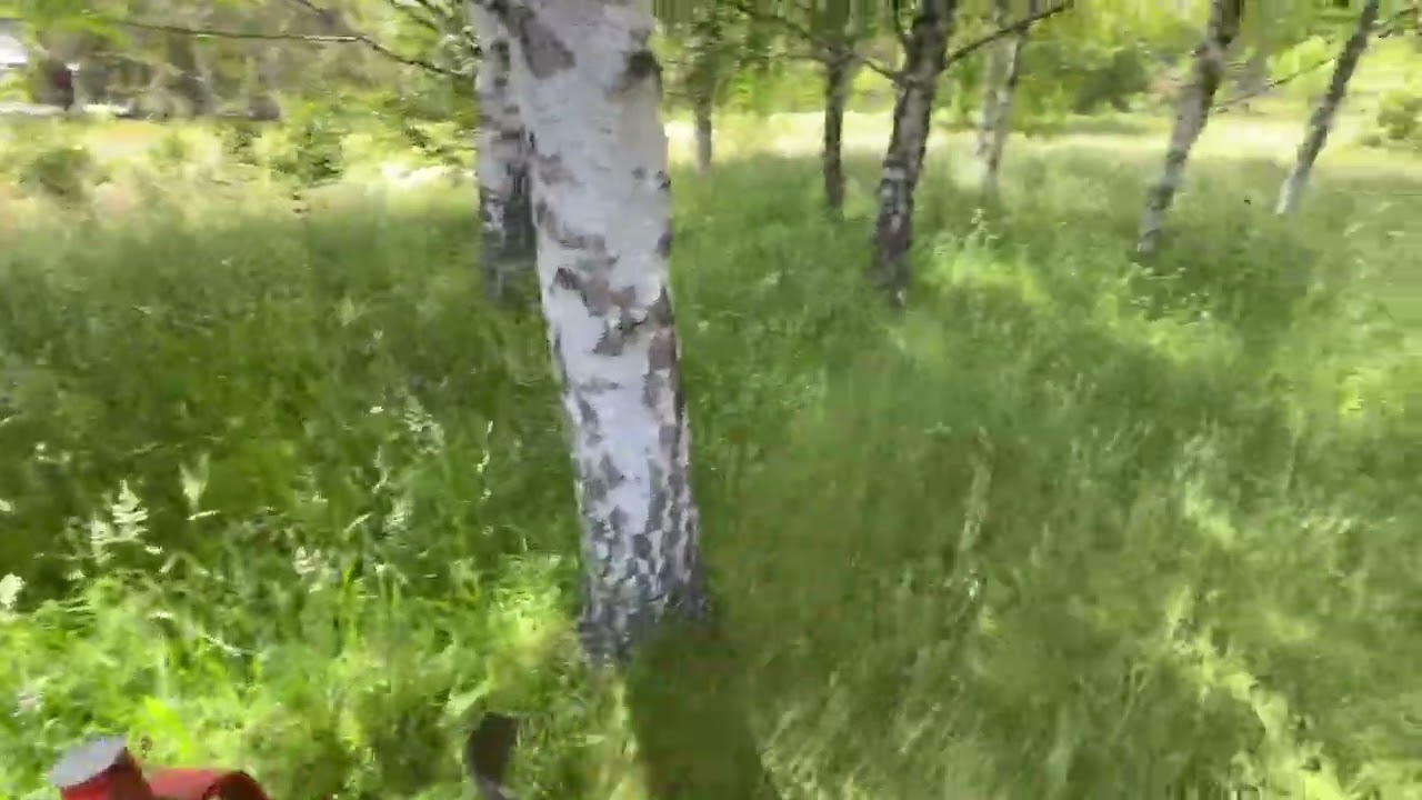 One pass tall grass mowing with Beast Blades