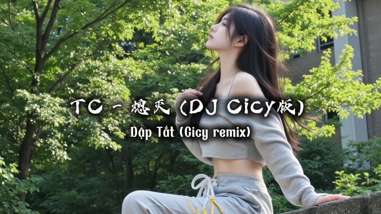 TC - 熄灭 (DJ Cicy版) | Dập Tắt (Cicy remix)