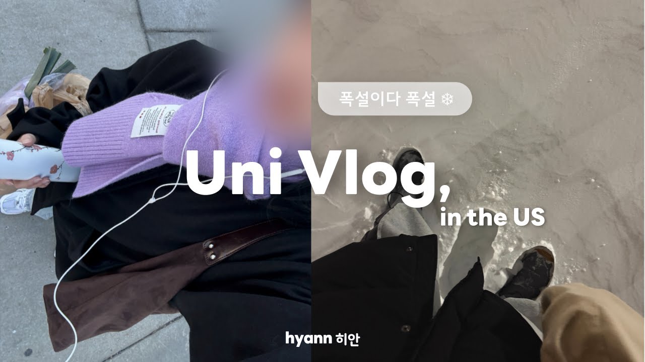 🇺🇸폭설 속 미국 간호대생의 막학기 시작 ❄️ | 장보고 과제하는 일상 vlog