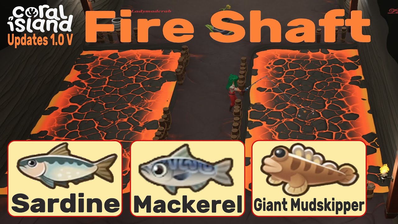 Sardine + Mackerel + Mud Skipper  Fishing in Fire Shaft CORAL ISLAND