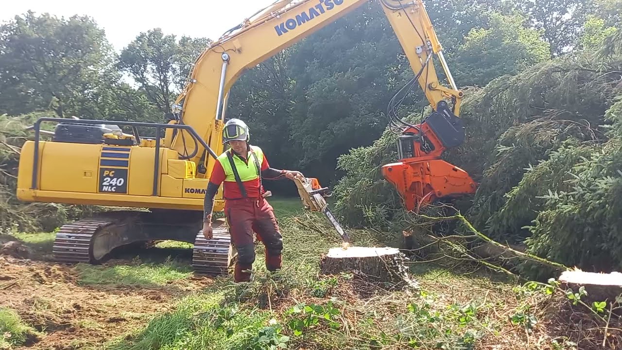 Abattage de sapin 2021// ETA COURTEL