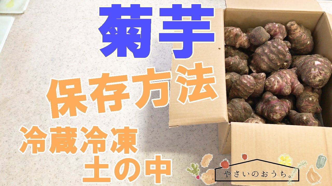 菊芋の保存方法｜冷凍・冷蔵・保存期間と保存食レシピ！長期保存は乾燥