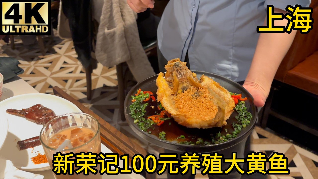【验证】新荣记开出了世界上最好的港式茶餐厅,100元/养殖大黄鱼,烧鹅天花板