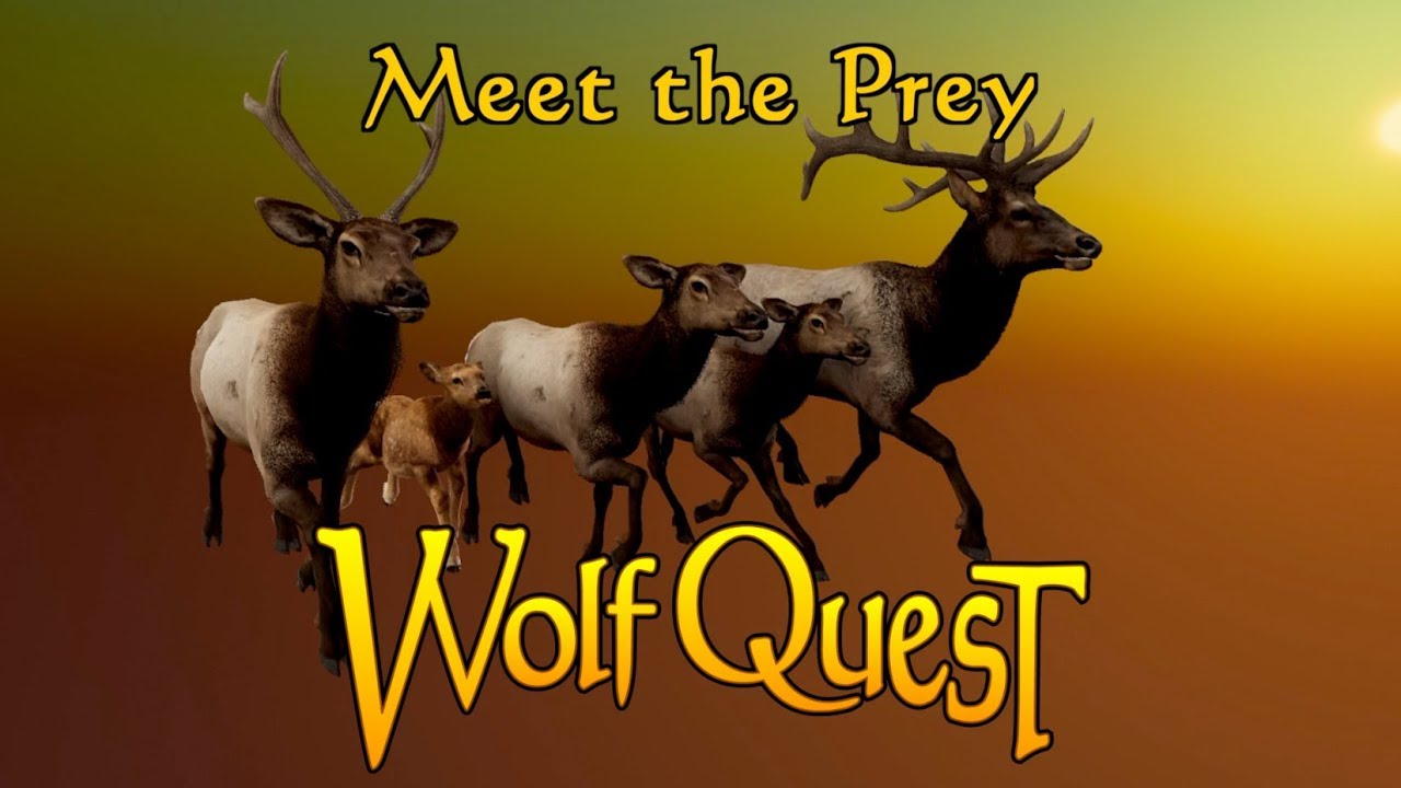 Meet the Prey