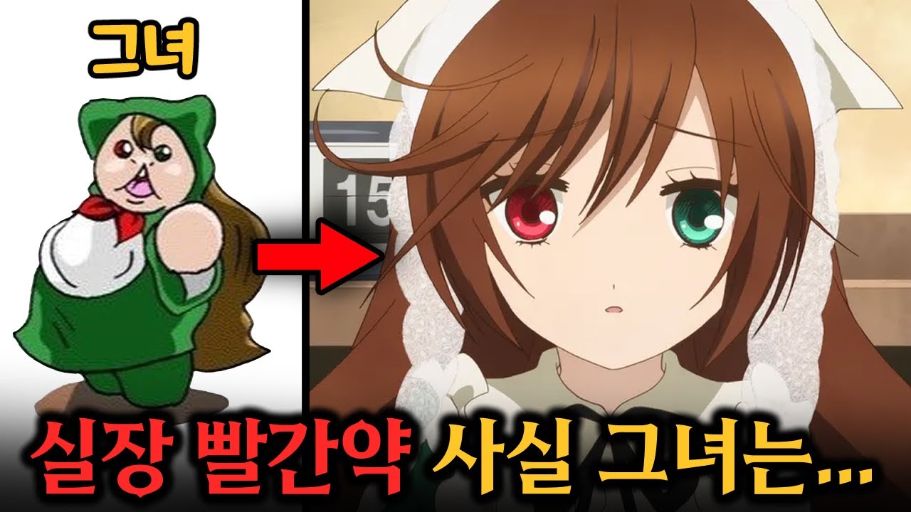 참피와 원시마마의 차이점을 알아보자