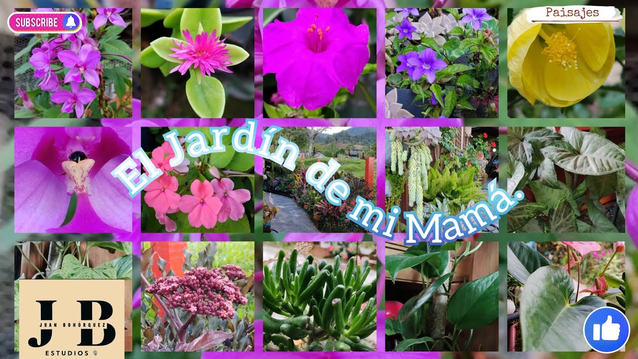 Entre flores y calma: El refugio de mi madre sus colección #jardin #casa #fincas #refugio #madre 