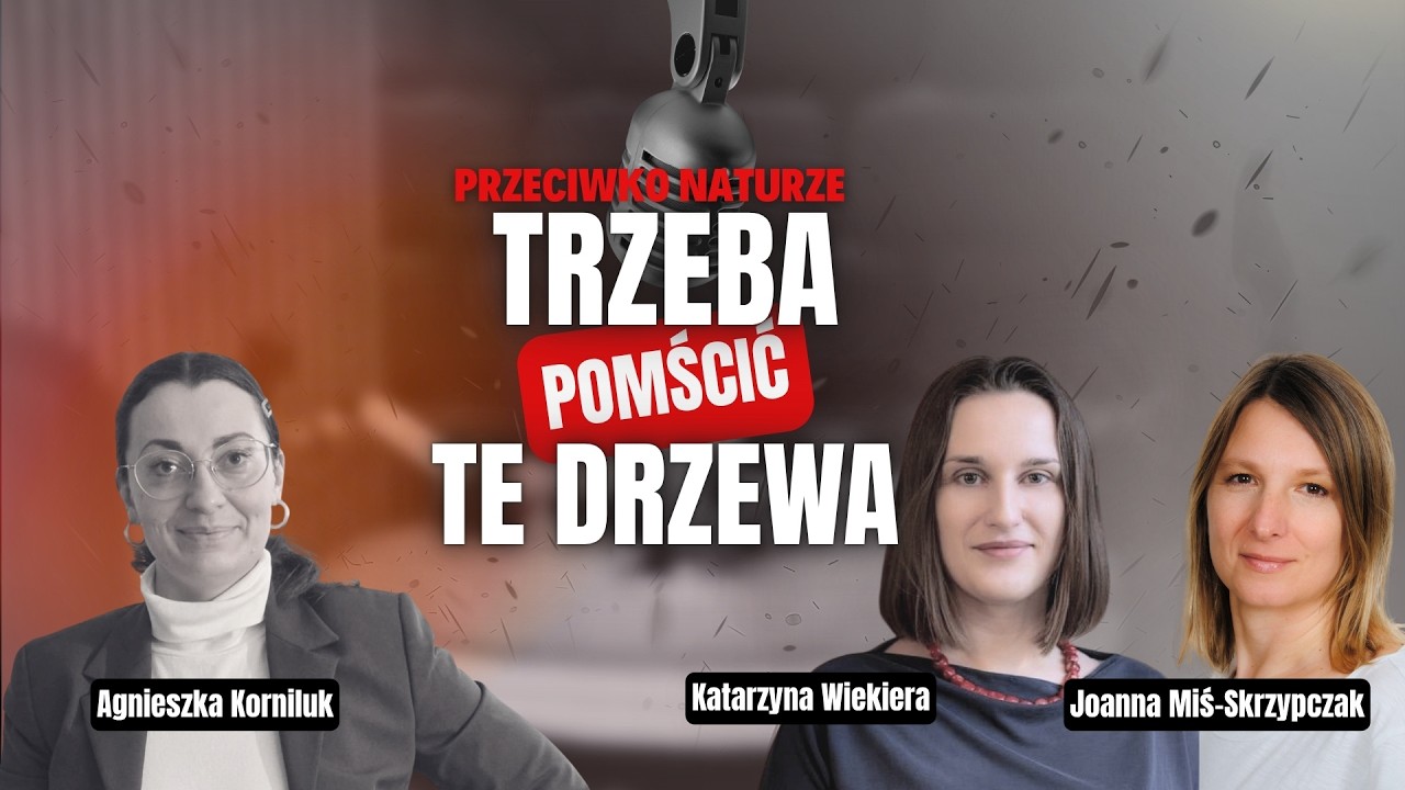 Rzeź drzew w Milanówku