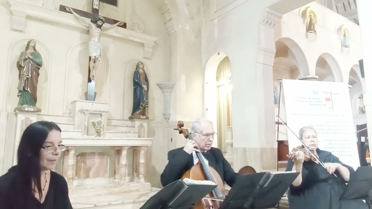 Marcha Nupcial para Casamientos | Músicos para Bodas | Música para Casamientos | Violines Ceremonias