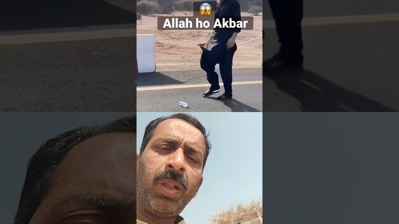 Allah hu akbar ||The IslamicNetwork || Pirzadafawadjan #short#viral#video#islam#shortvideo #trending