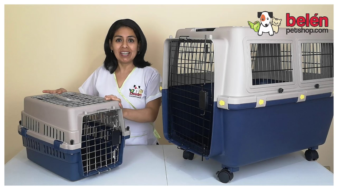 Kennel Transportador para Mascotas Viajeras - Todos los tamaños