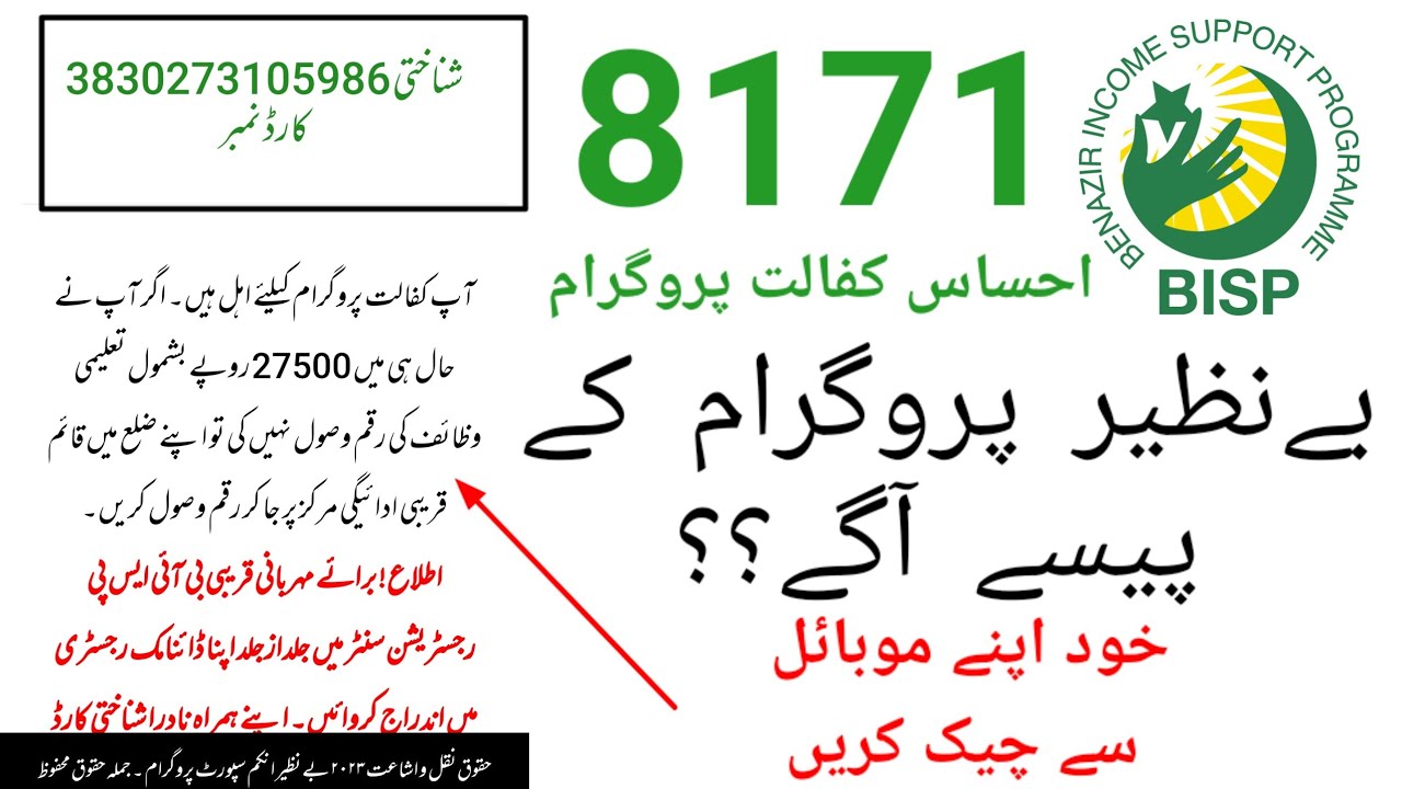 8171 payment online check 2024 | 8171 online payment check by cnic | 8171 new update 2024 #bisp