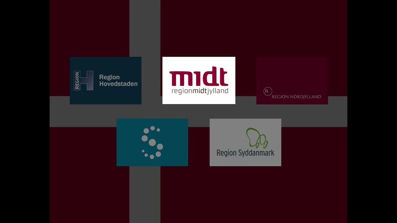 Flag Band: Denmark Regions