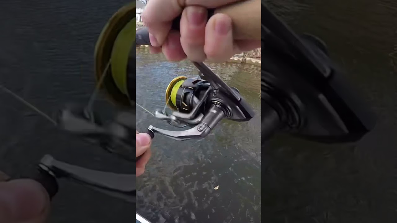 BassinBill w/ a QUICK CATCH on the Sukoshi Bug #Shorts