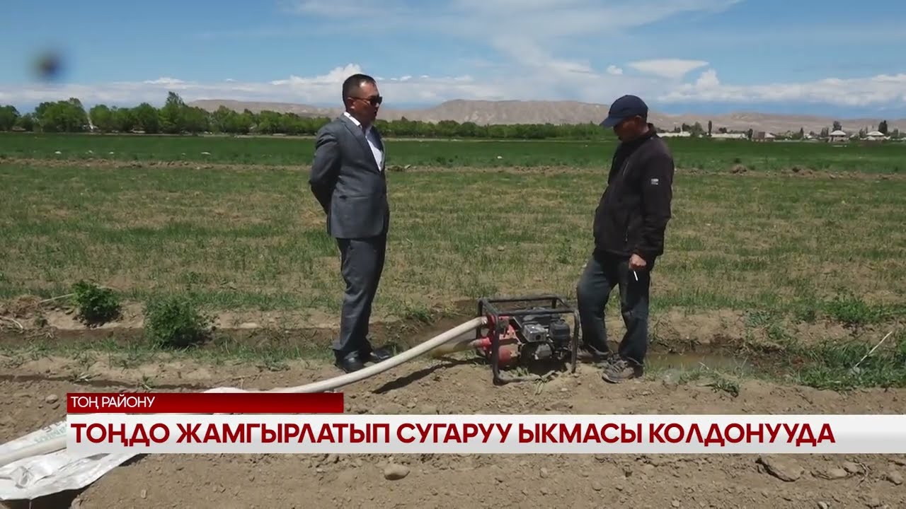 Тоңдо жамгырлатып сугаруу ыкмасы колдонулууда