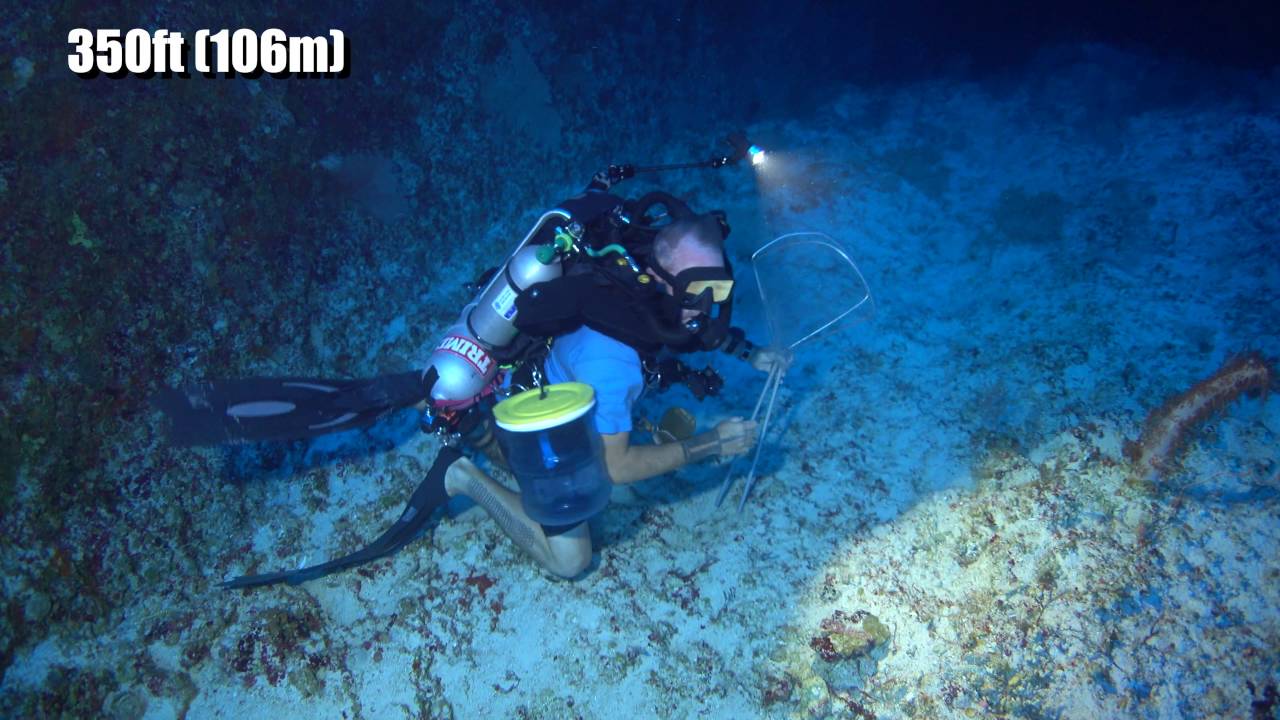 Pohnpei Mesophotic 2016 Preview