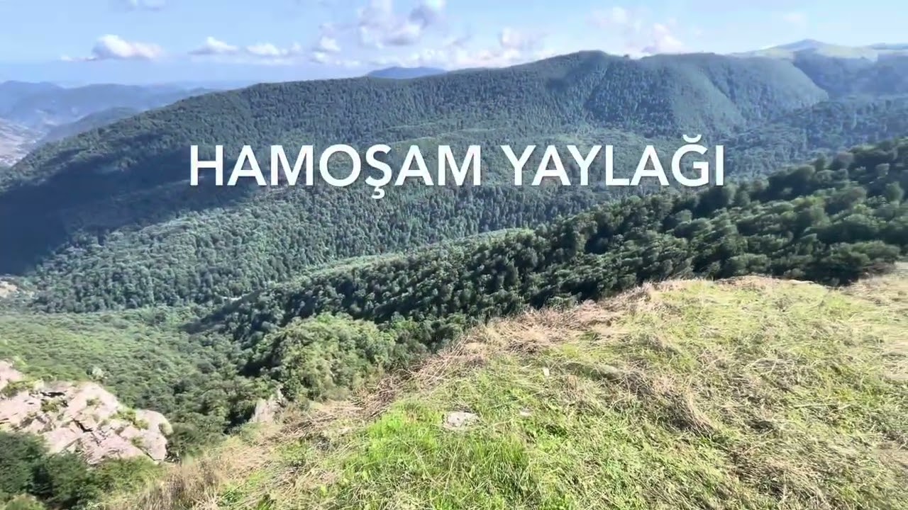 Astara Hamoşam yaylağı