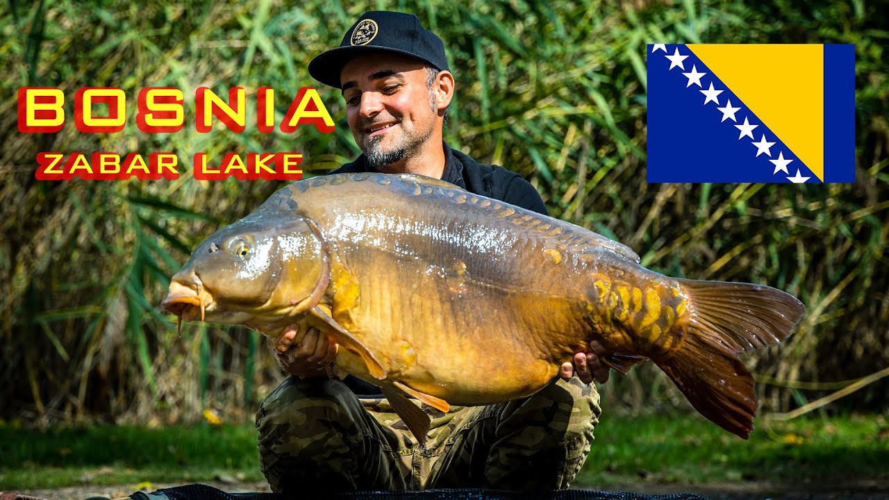 Pescuit la CRAP in Bosnia - Lacul Zabar (New PB: 24.5KG) 2024 #zabar #bosnia #addictedtocarp #newpb