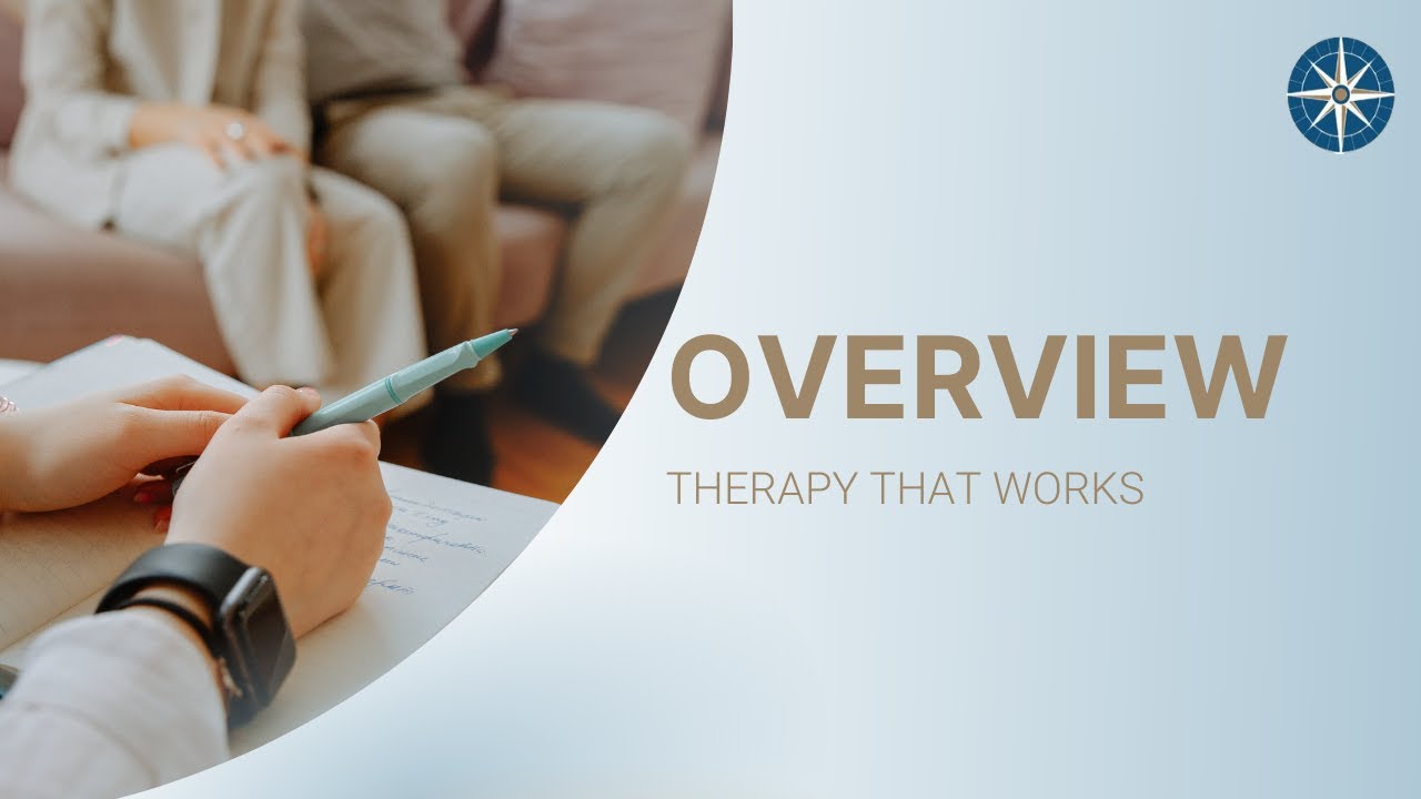 Therapy That Works: A Unifying Framework for Psychotherapy