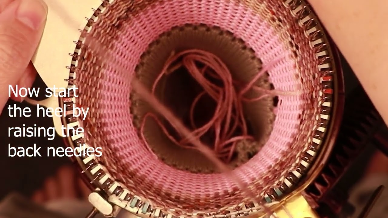 Eye of Partridge Heel - CSM